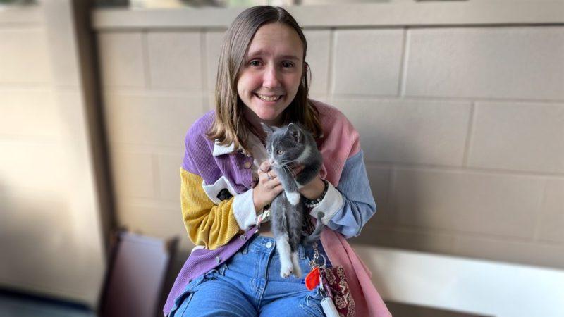 A young woman with long brown hair holds a gray and white kitten.